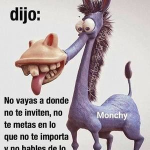 Meet your Posher, Judith